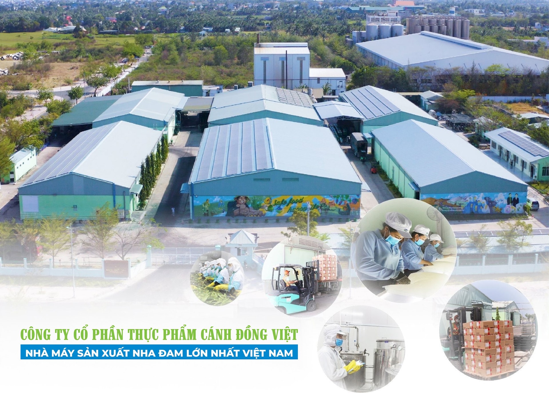 nhà máy sản xuất nha đam việt nam